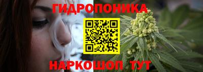мет Кимры