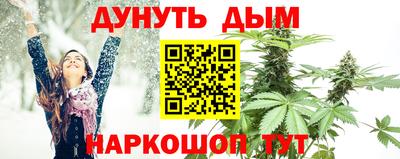 PSILOCYBIN Канаш